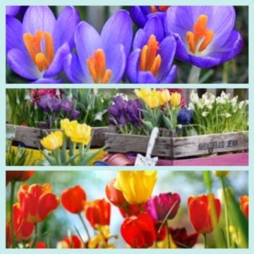 Haak het voorjaar in huis met gehaakte bloemen
