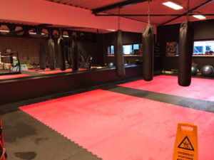 kickboxen clinic