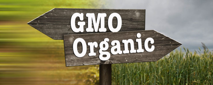 GMO vrij: 7 tips om genetisch gemodificeerd voedsel te vermijden