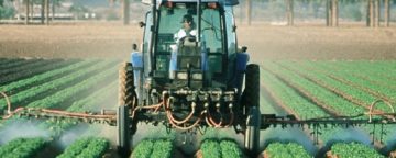 Pesticiden, een gevaar voor je gezondheid