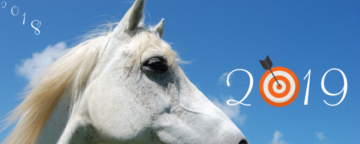 15 doelstellingsvragen voor jou en je paard in het nieuwe jaar