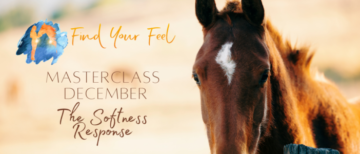 Find Your Feel Masterclass van December: The Softness Response