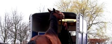 Paard had nare ervaring met trailerladen