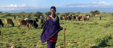 Maasai Lodge net zo fraai als de Maasai Stam zelf