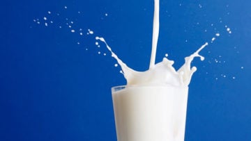 Welke invloed heeft melk op je stembanden?