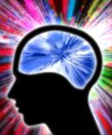 Brain Secrets!