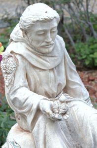Franciscus van Assisi als beschermer DierenDag