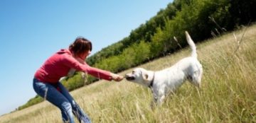 NLP perspectief over onbewuste krachten die je leven bepalen NLP perspectief over onbewuste krachten die je leven bepalen