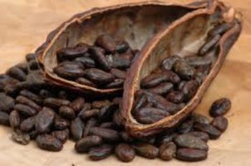 Rauwe cacao, superfood nr 1