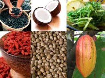 Superfoods, een absolute must!