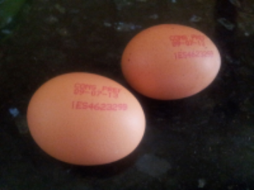 Códigos en los huevos