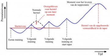 Periodisering